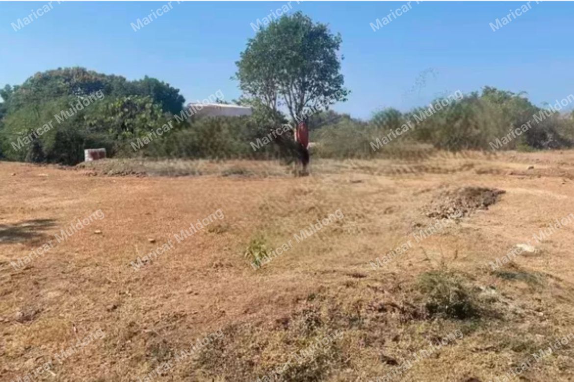 Land for Sale in Dallangayan Oeste, San Fernando, La Union