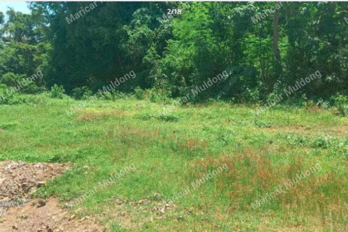 Land for Sale in Dallangayan Oeste, San Fernando, La Union – photo 2