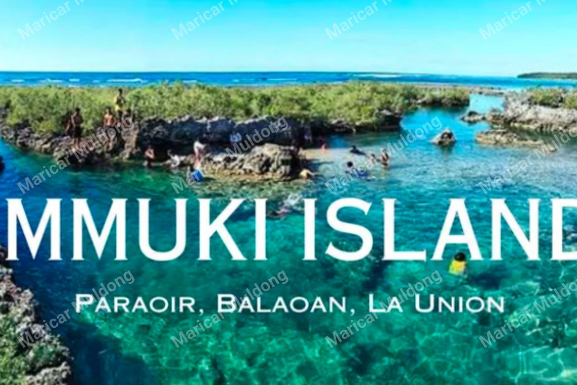 Land for Sale in Dallangayan Oeste, San Fernando, La Union – photo 5