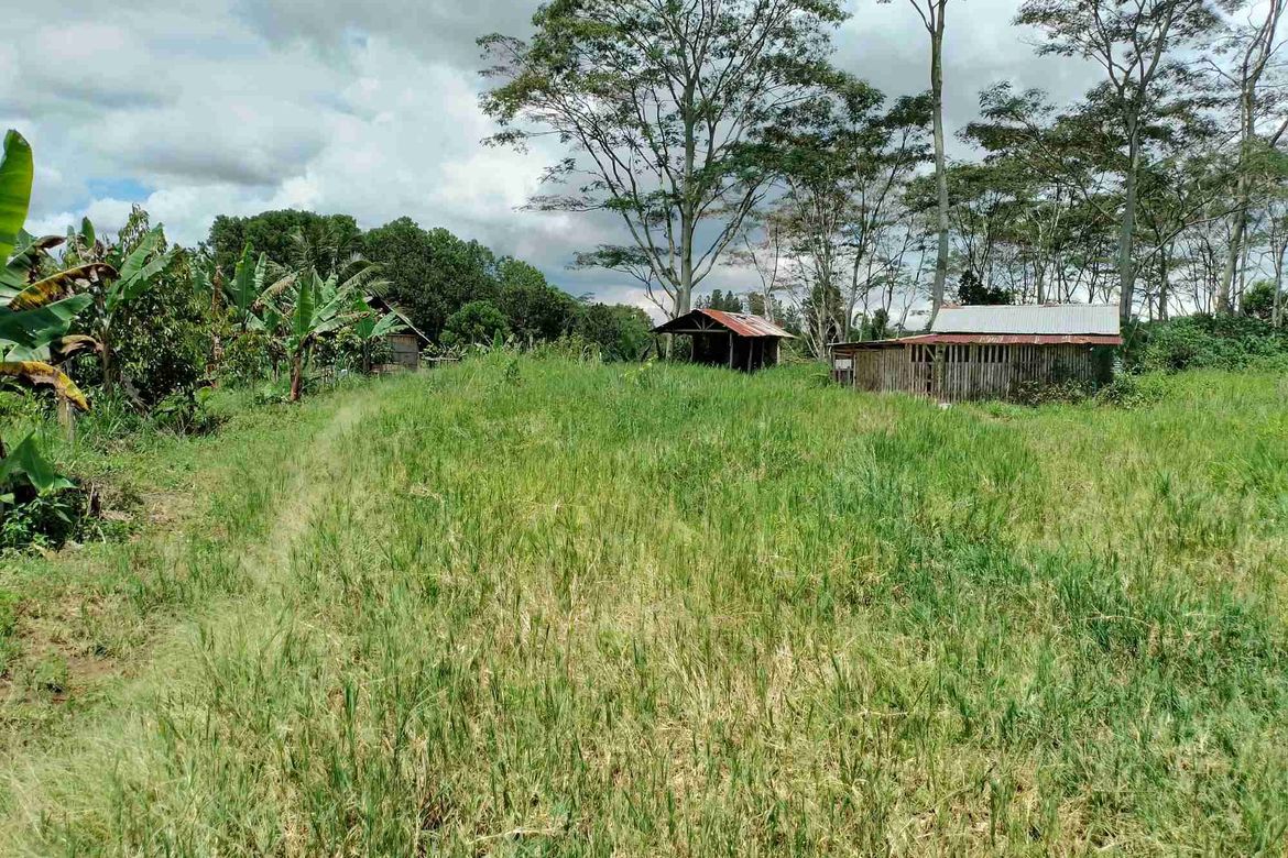 Land for Sale in Dalwangan, Malaybalay, Bukidnon