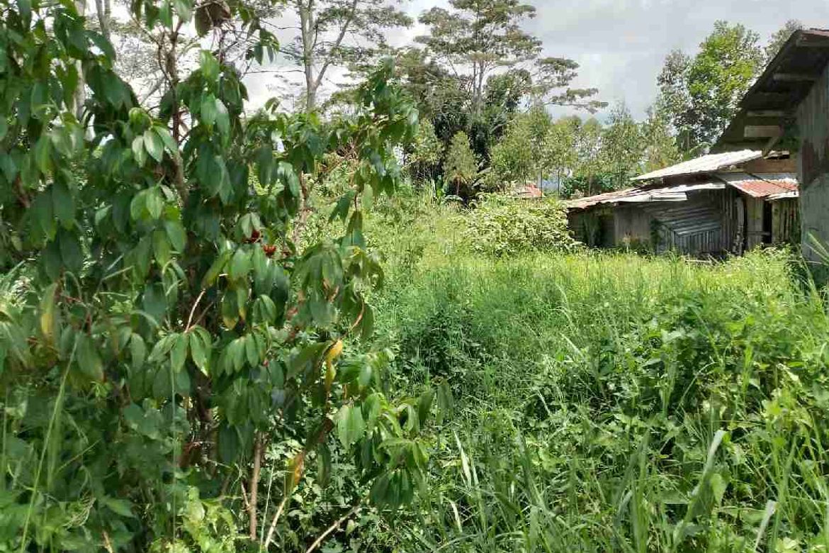 Land for Sale in Dalwangan, Malaybalay, Bukidnon – photo 4