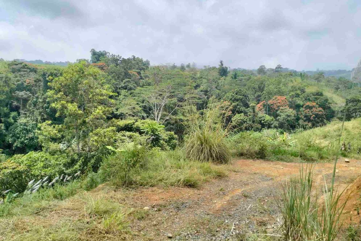 Land for Sale in Dalwangan, Malaybalay, Bukidnon – photo 2