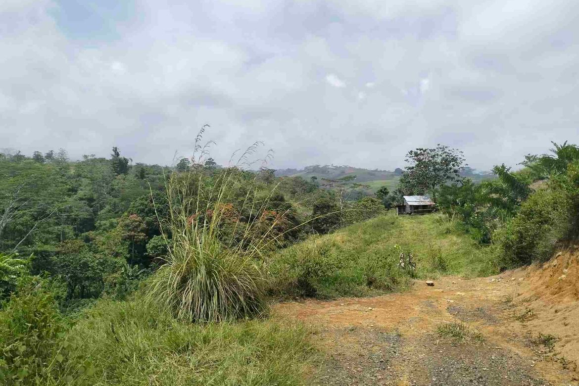 Land for Sale in Dalwangan, Malaybalay, Bukidnon – photo 3