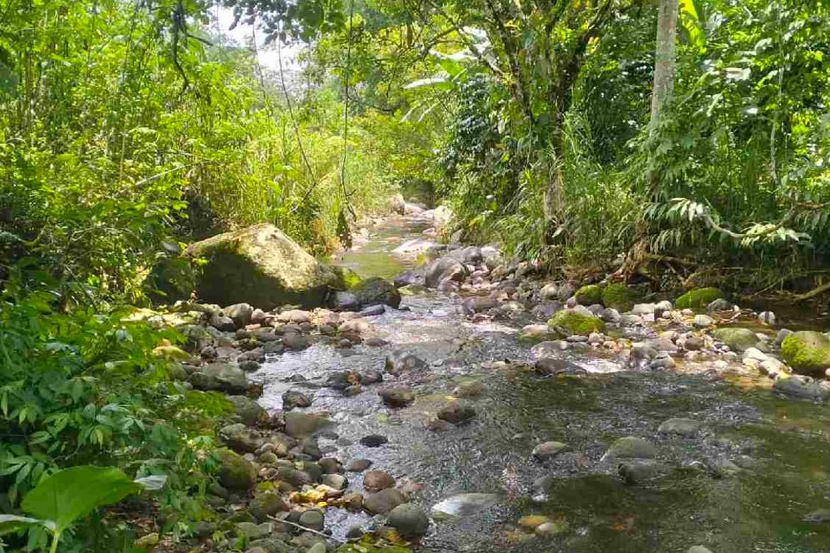 Land for Sale in Dalwangan, Malaybalay, Bukidnon – photo 4