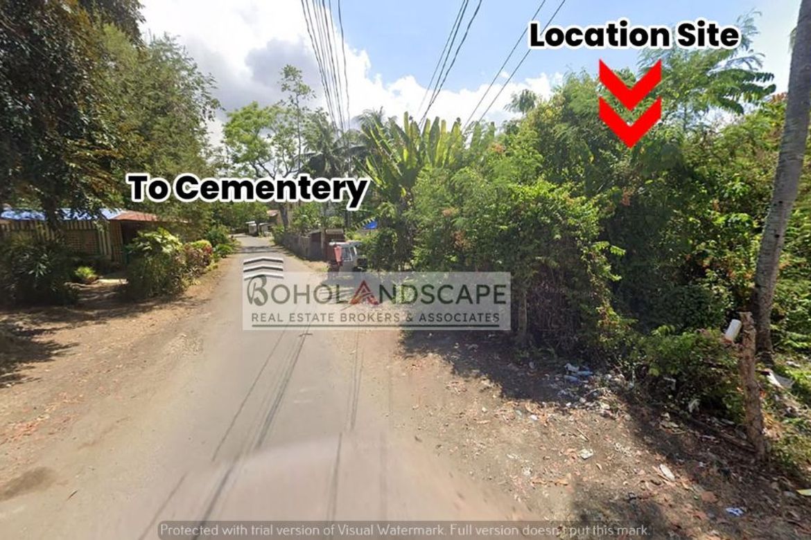 Land for Sale in Dampas, Tagbilaran, Bohol
