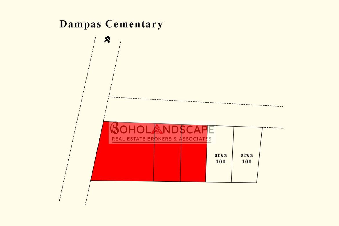 Land for Sale in Dampas, Tagbilaran, Bohol – photo 2