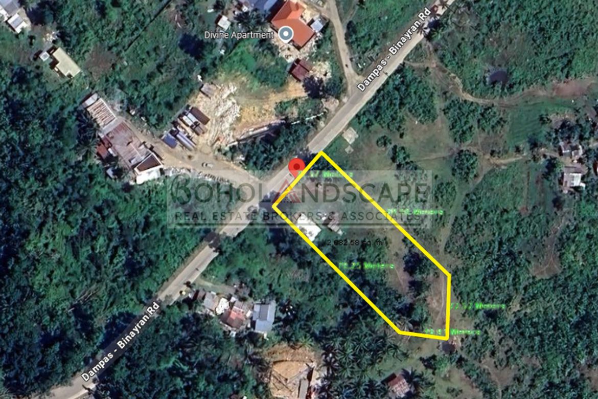 Land for Sale in Dampas, Tagbilaran, Bohol – photo 2