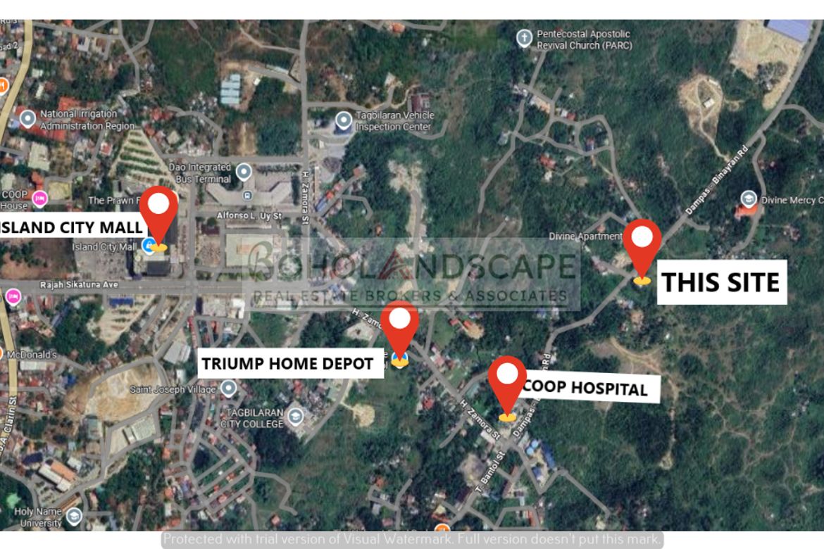 Land for Sale in Dampas, Tagbilaran, Bohol – photo 4