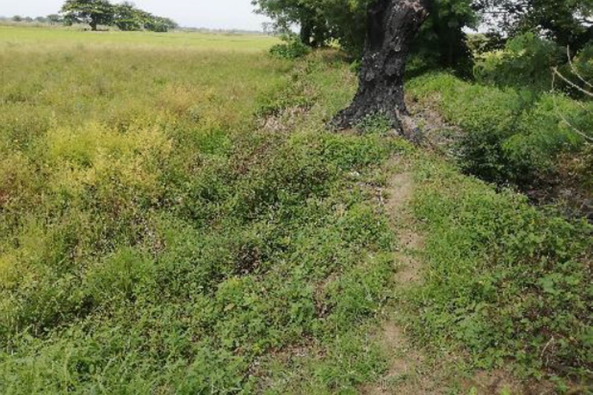 Land for Sale in Dampol II-B, Pulilan, Bulacan – photo 8
