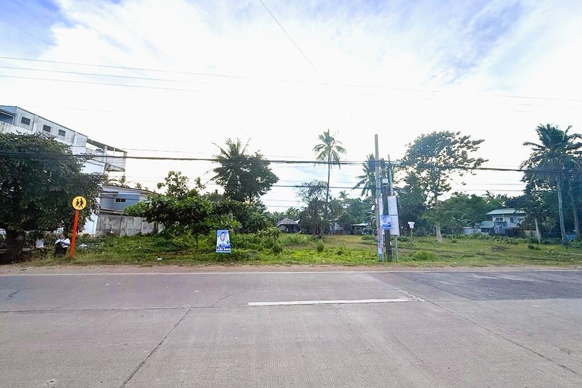 Land for Sale in Danao, Panglao, Bohol – photo 3