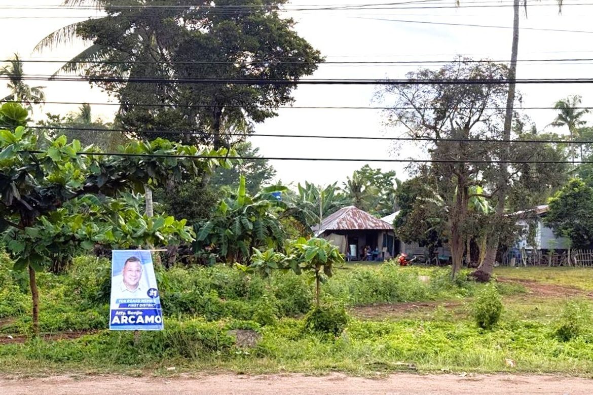 Land for Sale in Danao, Panglao, Bohol – photo 5