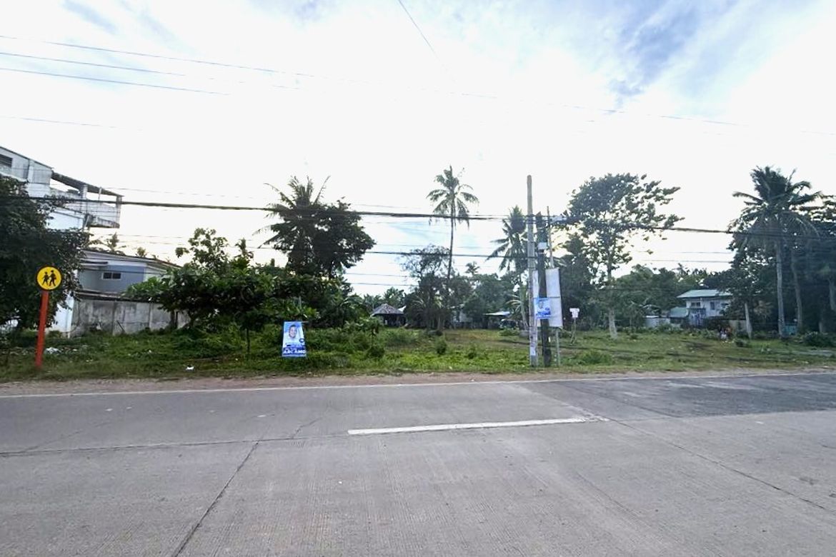 Land for Sale in Danao, Panglao, Bohol – photo 6
