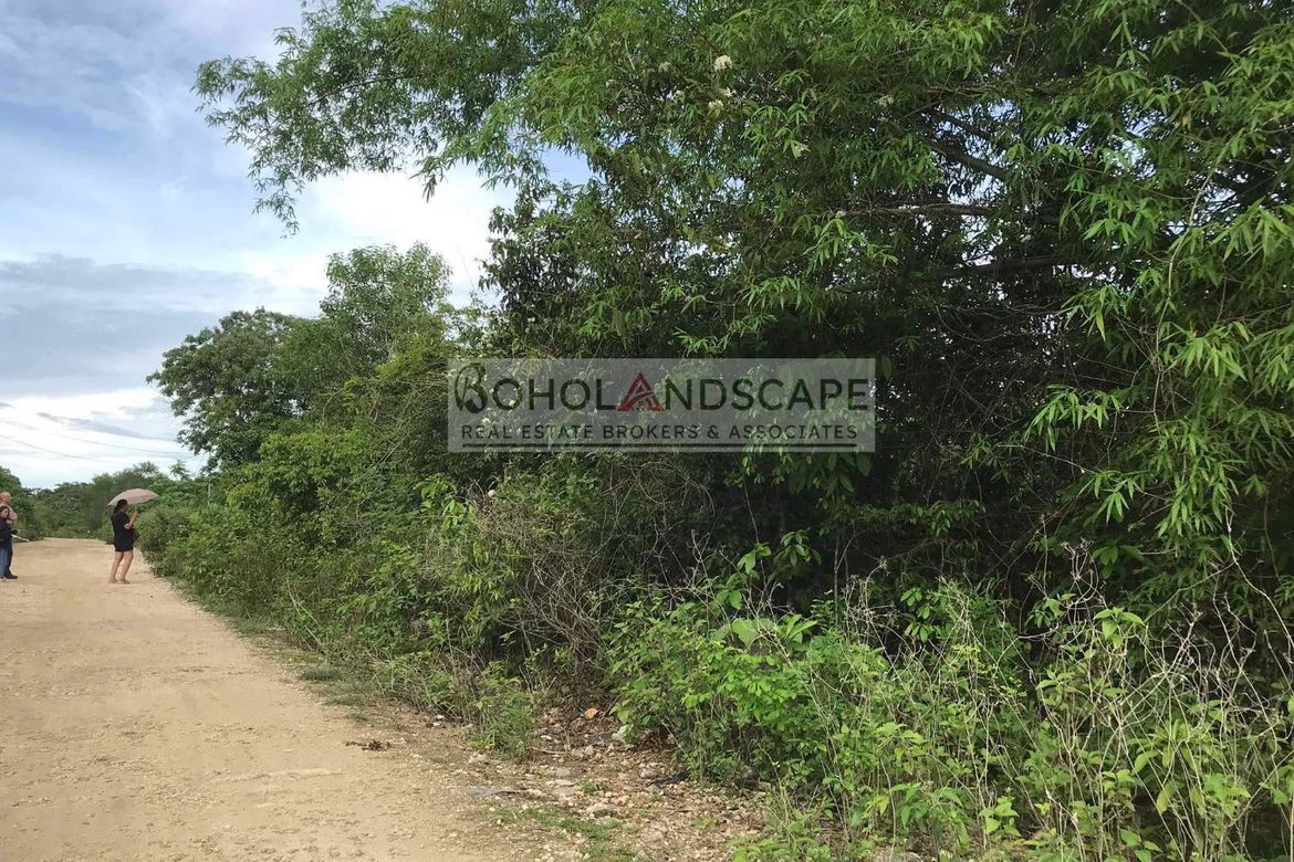 Land for Sale in Danao, Panglao, Bohol – photo 2