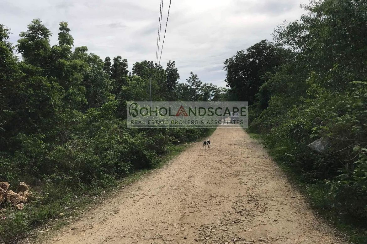 Land for Sale in Danao, Panglao, Bohol – photo 3