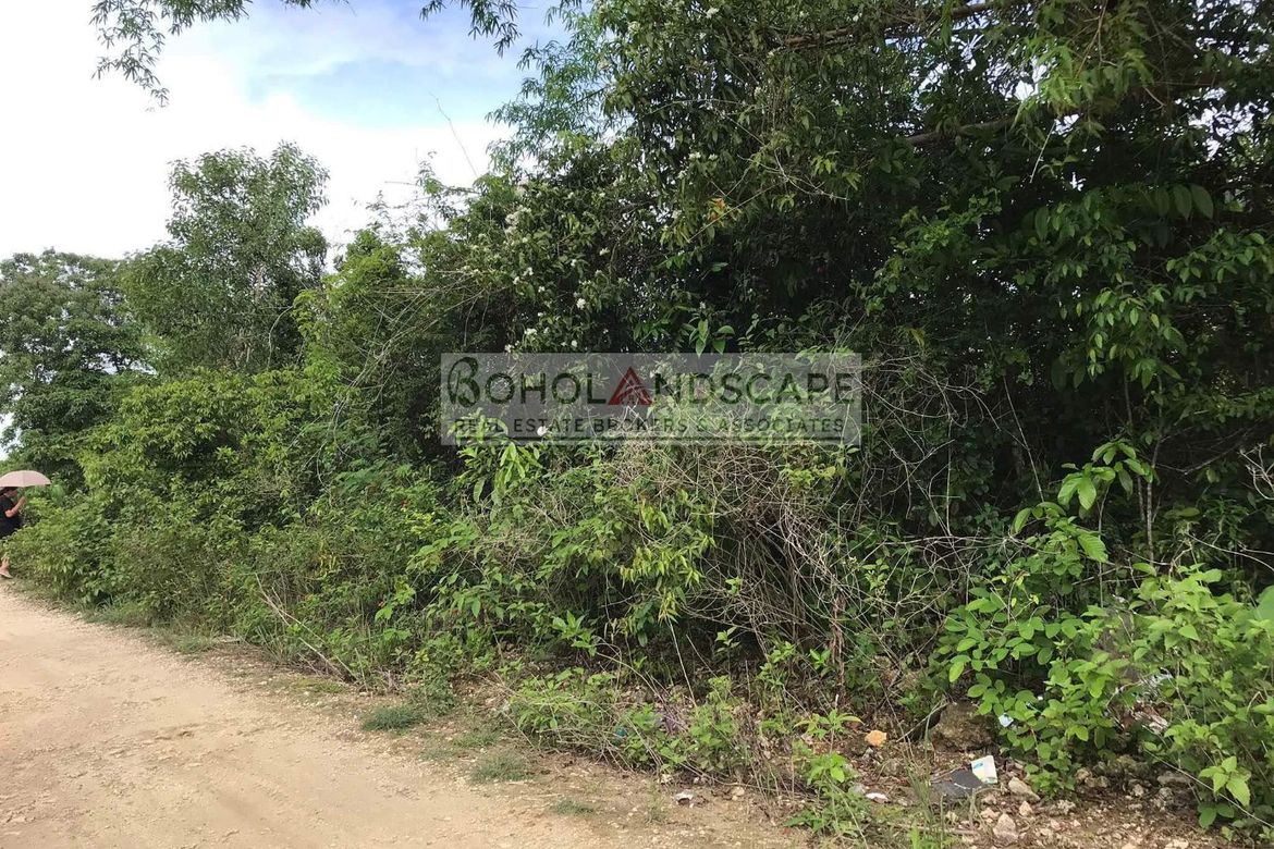 Land for Sale in Danao, Panglao, Bohol – photo 4