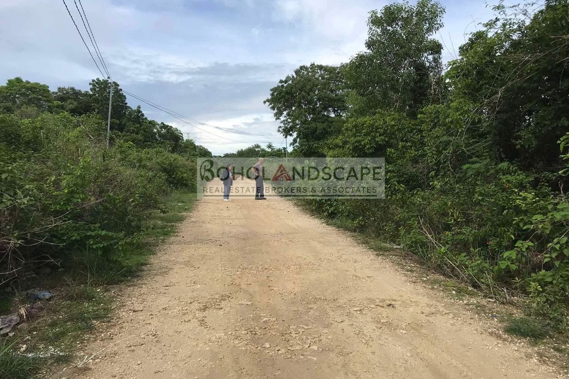 Land for Sale in Danao, Panglao, Bohol – photo 5