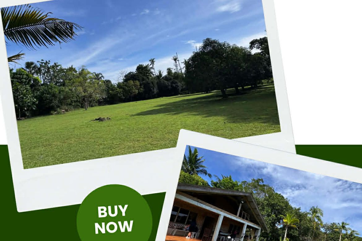 Land for Sale in Danao, Panglao, Bohol – photo 2