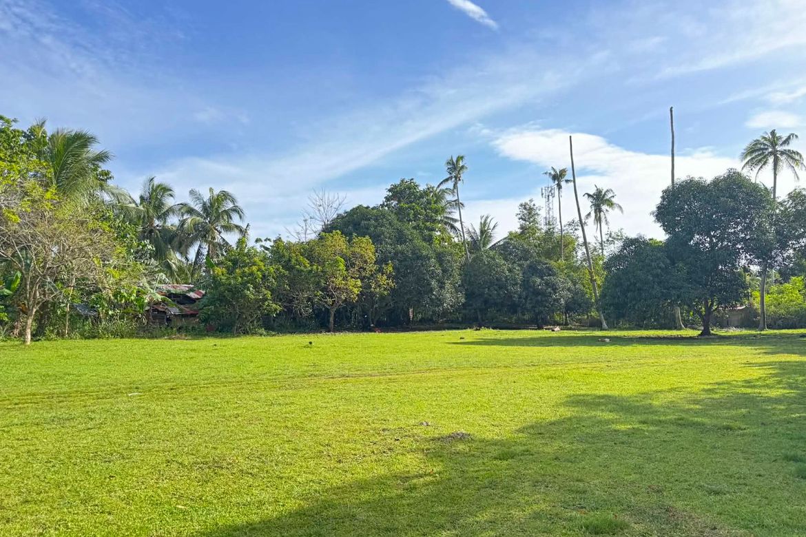 Land for Sale in Danao, Panglao, Bohol – photo 3