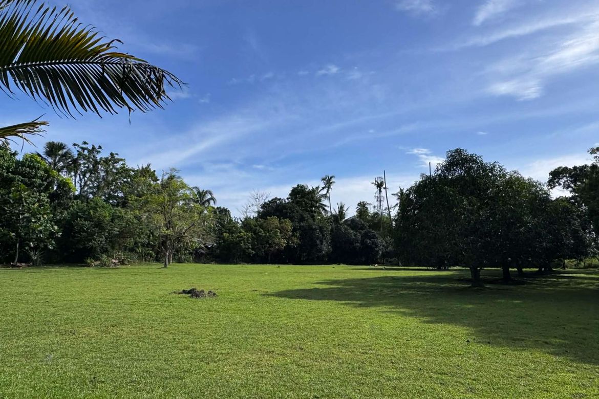 Land for Sale in Danao, Panglao, Bohol – photo 7