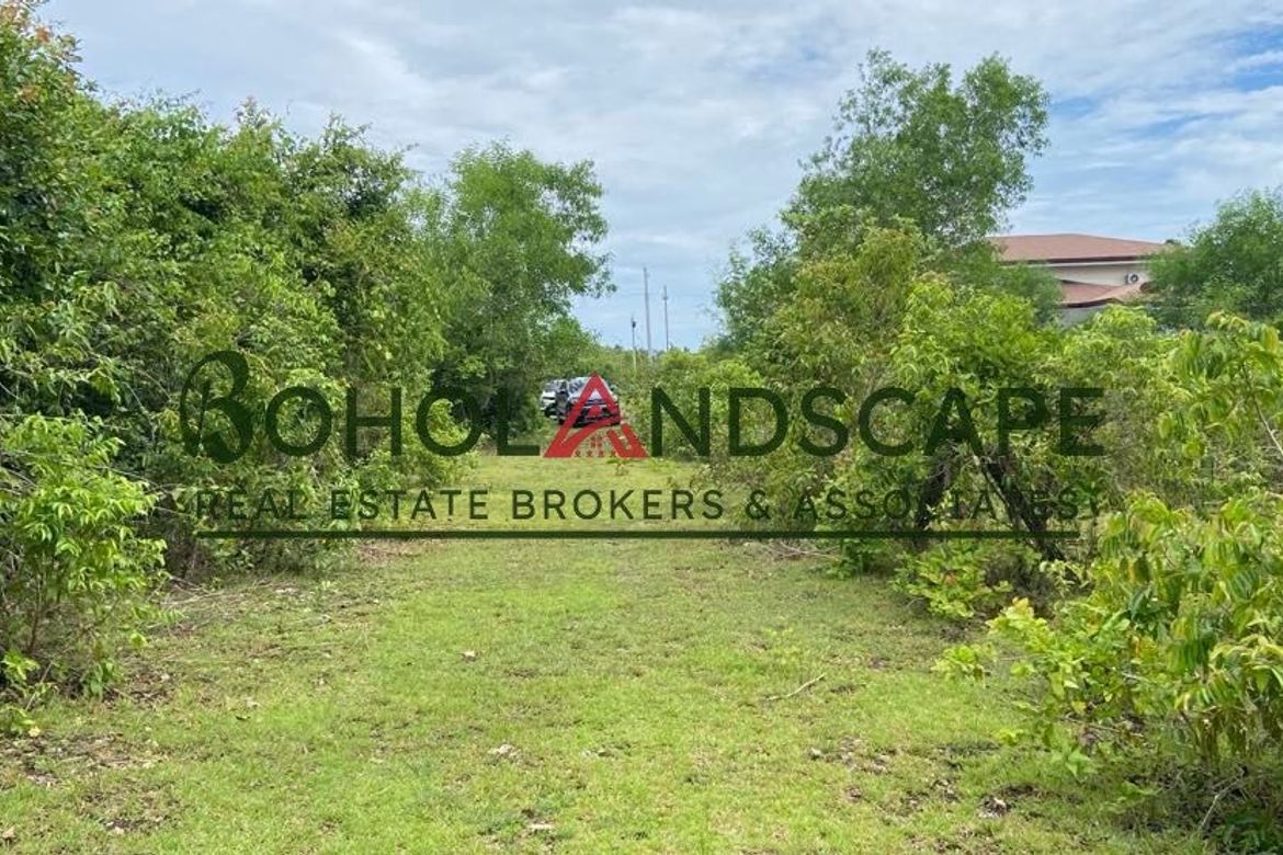 Land for Sale in Danao, Panglao, Bohol