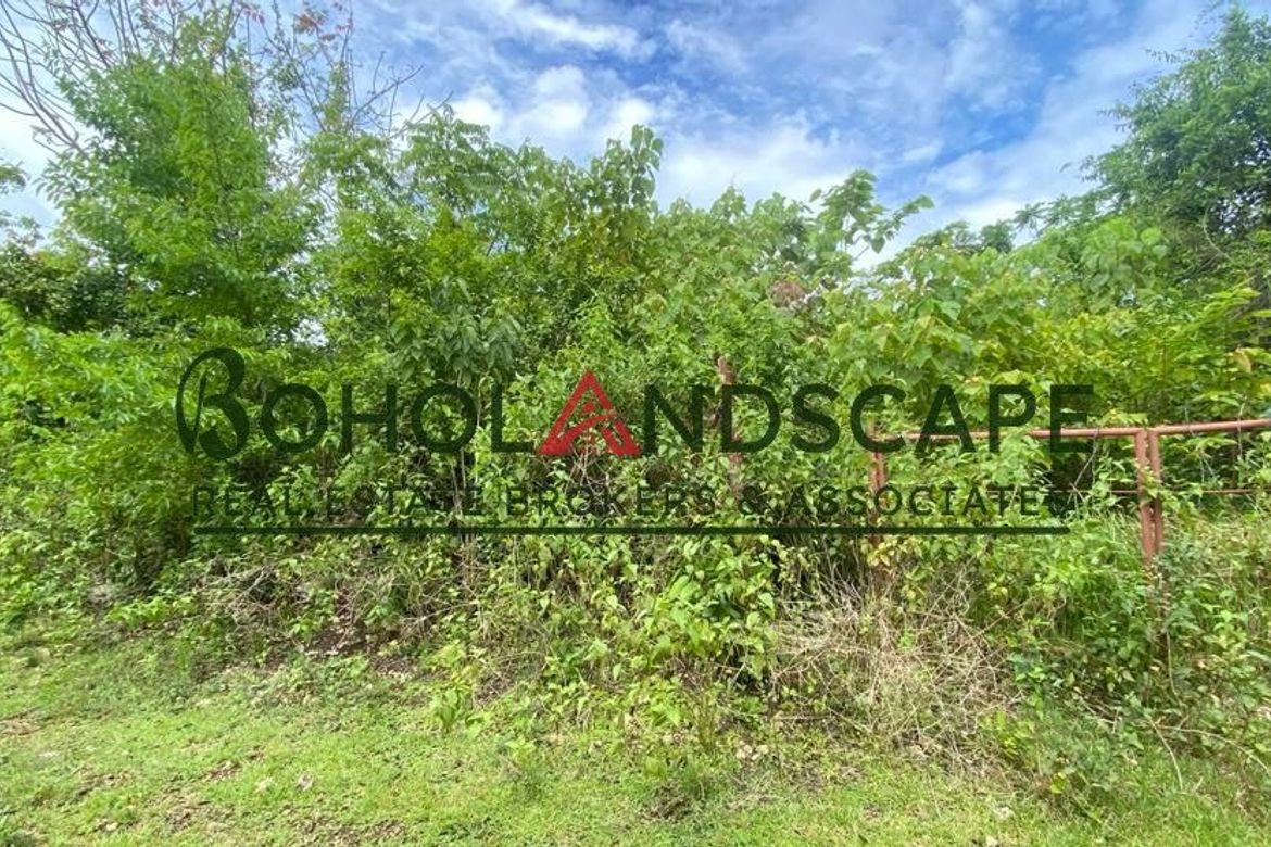 Land for Sale in Danao, Panglao, Bohol – photo 5
