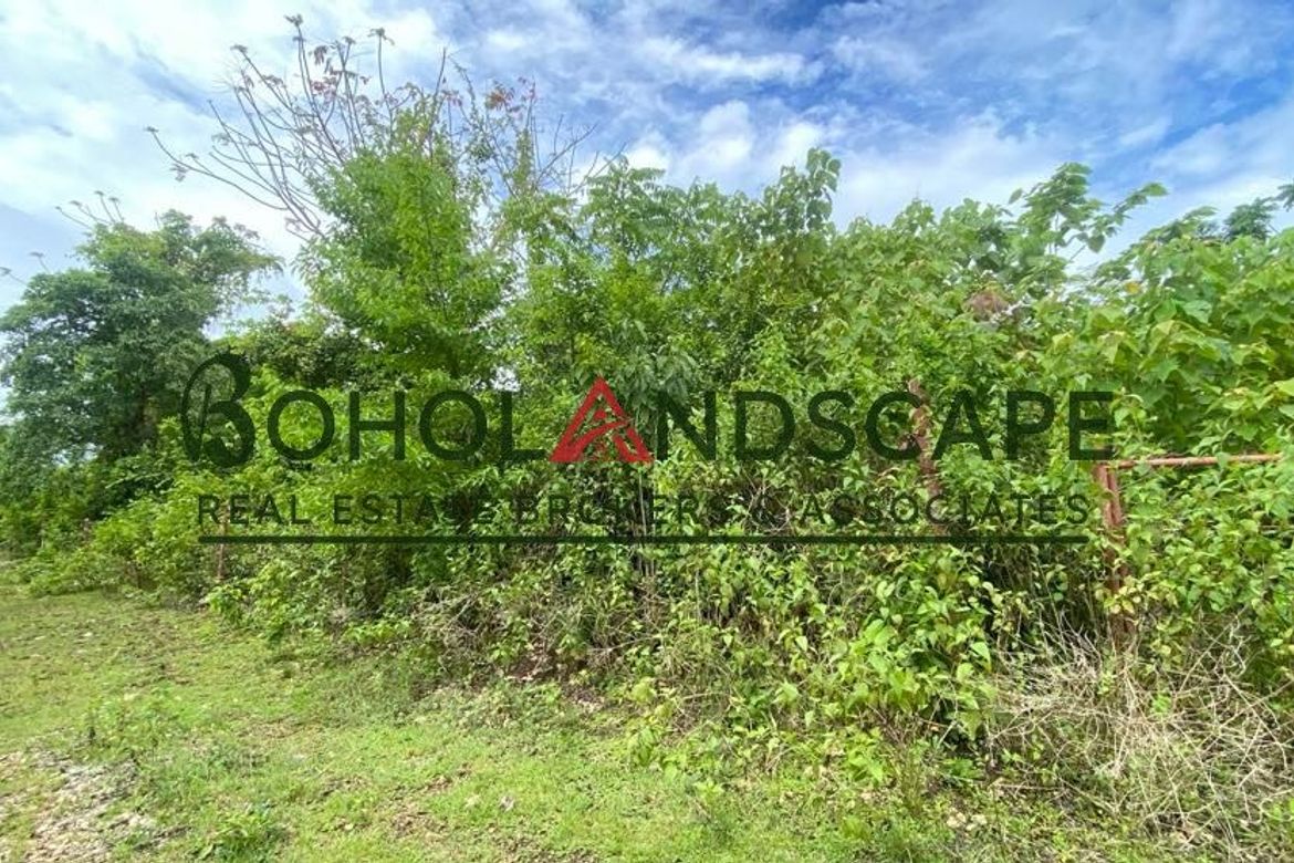 Land for Sale in Danao, Panglao, Bohol – photo 6