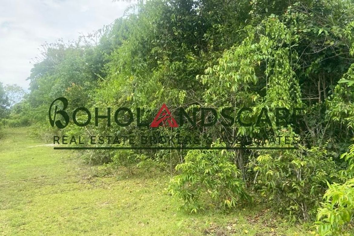 Land for Sale in Danao, Panglao, Bohol – photo 7