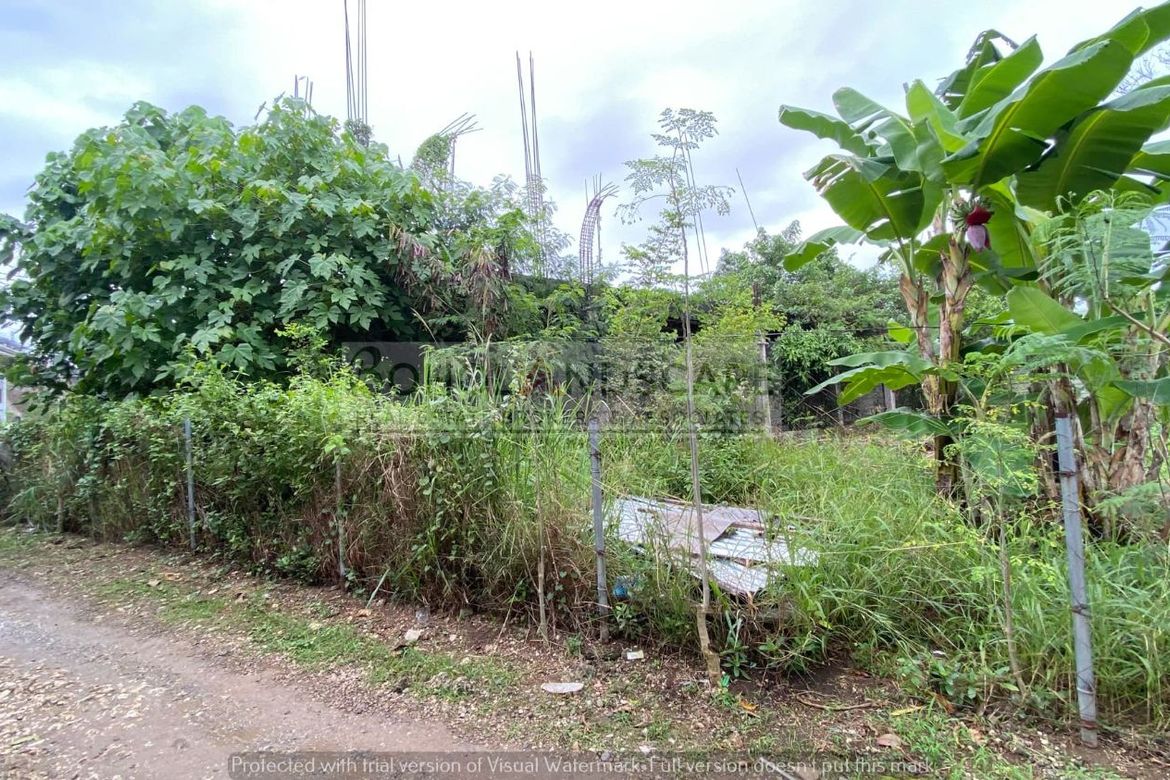 Land for Sale in Danao, Panglao, Bohol – photo 7