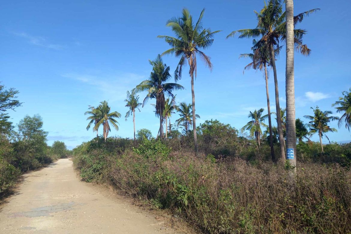 Land for Sale in Danao, Panglao, Bohol