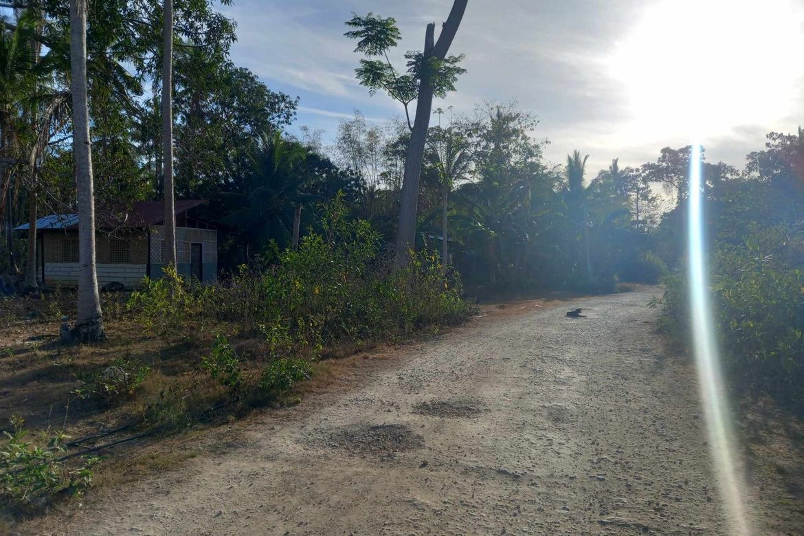 Land for Sale in Danao, Panglao, Bohol – photo 5