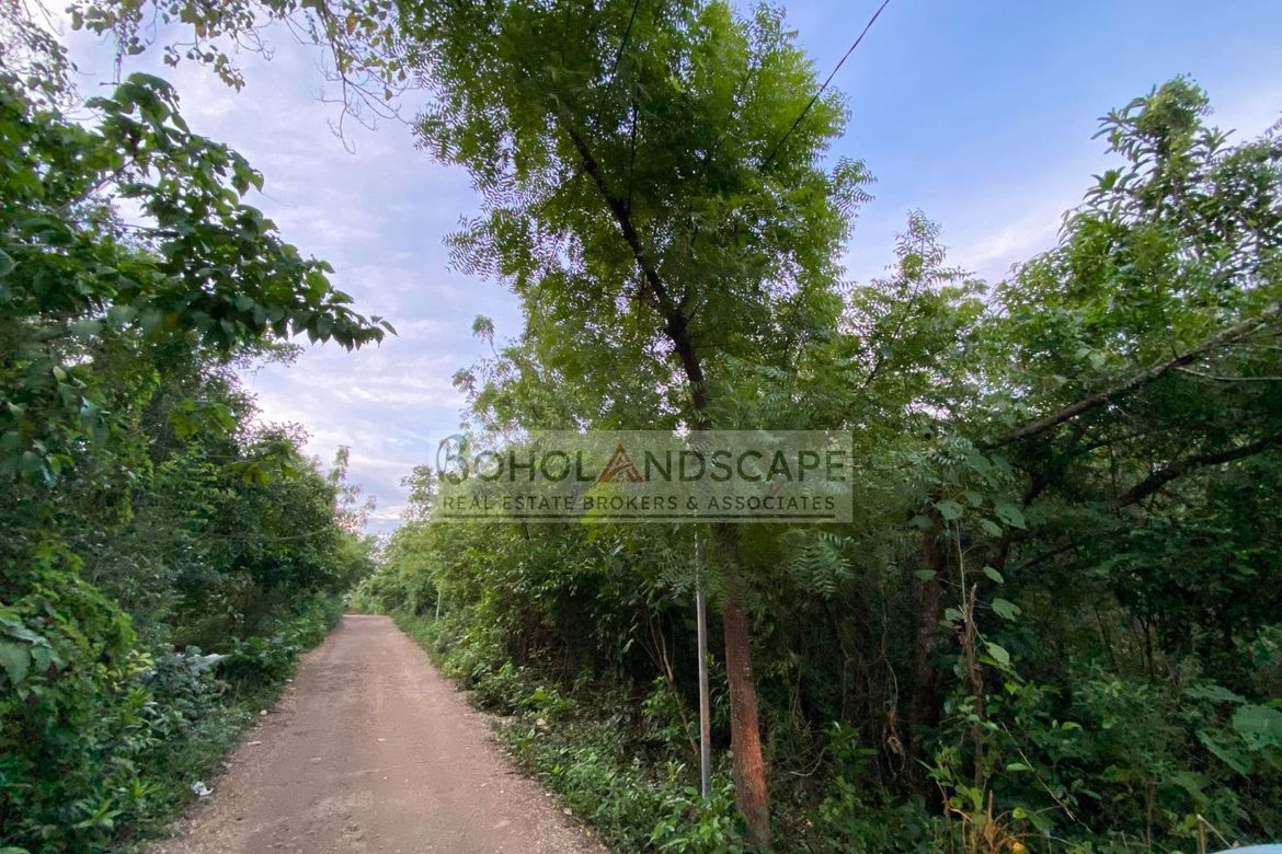 Land for Sale in Danao, Panglao, Bohol