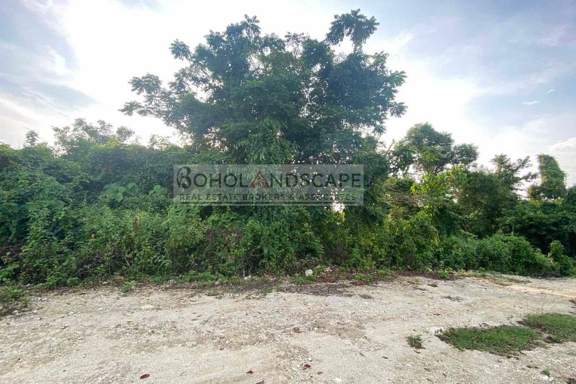 Land for Sale in Danao, Panglao, Bohol