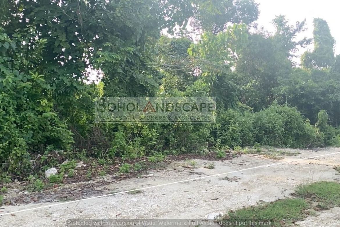 Land for Sale in Danao, Panglao, Bohol – photo 2