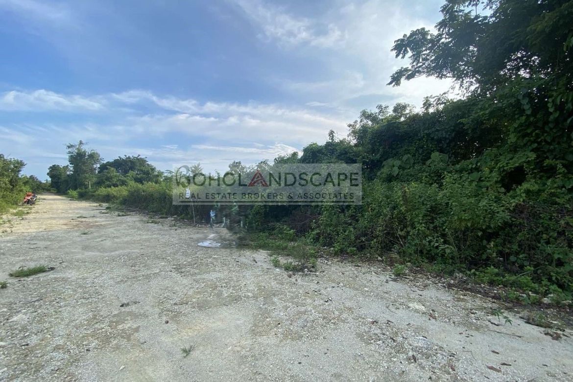 Land for Sale in Danao, Panglao, Bohol – photo 3