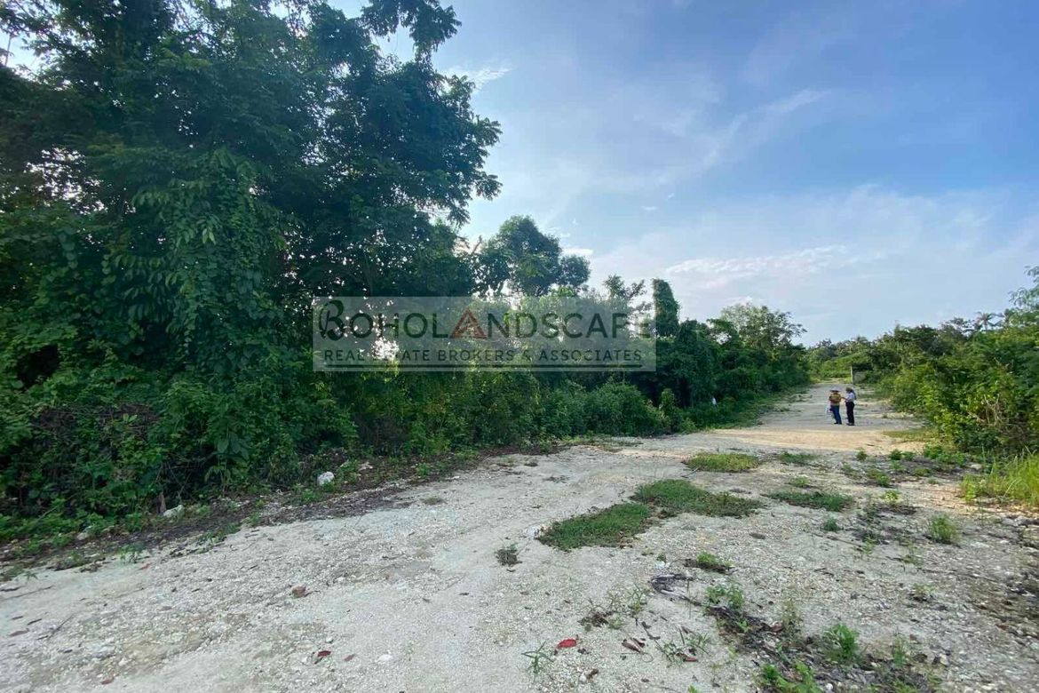 Land for Sale in Danao, Panglao, Bohol – photo 4