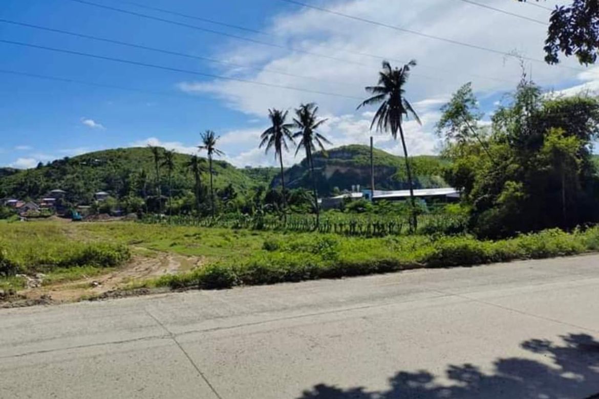 Land for Sale in Danglag, Consolacion, Cebu – photo 2