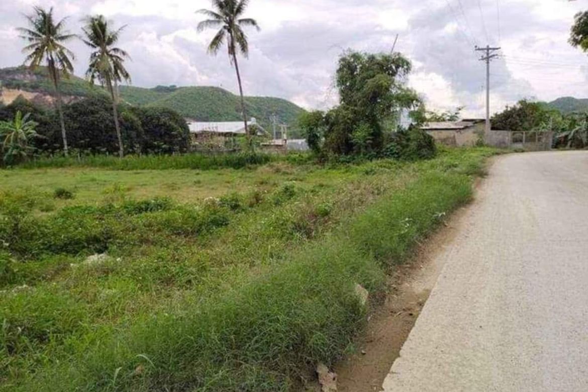 Land for Sale in Danglag, Consolacion, Cebu – photo 3
