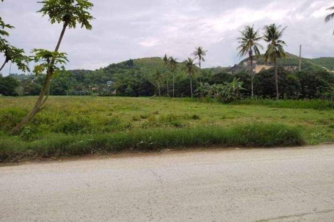 Land for Sale in Danglag, Consolacion, Cebu – photo 5