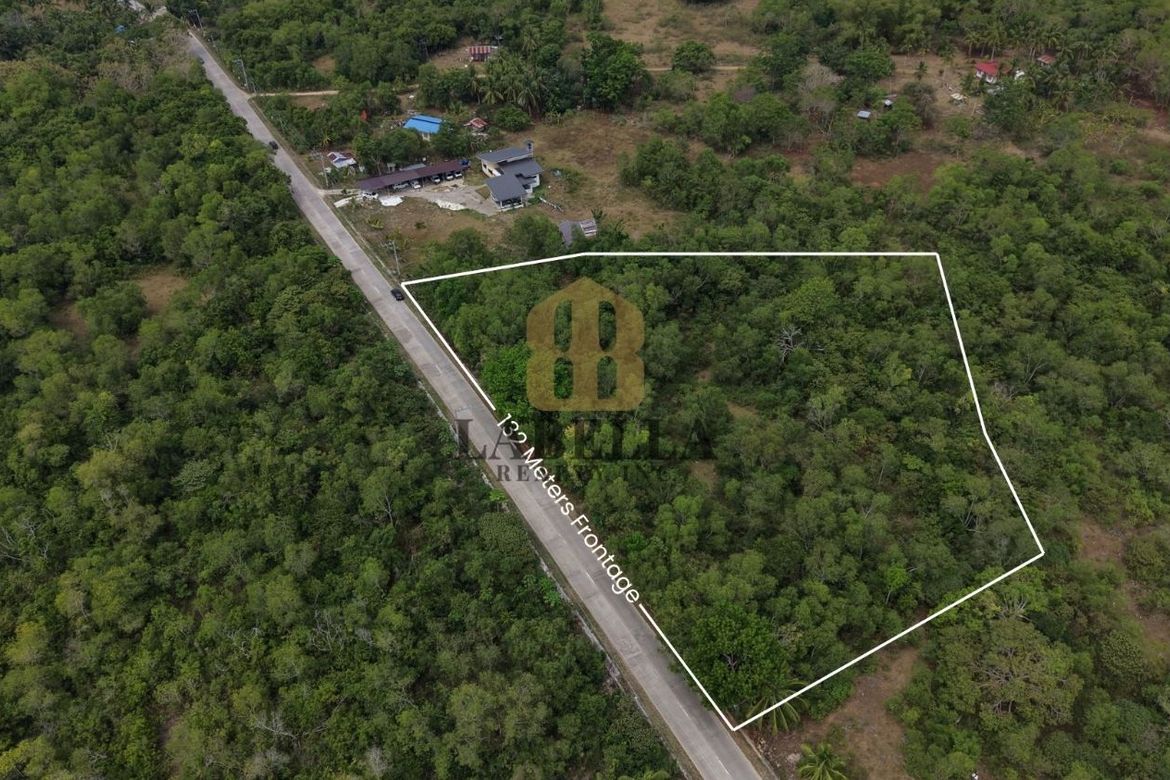 Land for Sale in Dao, Dauis, Bohol