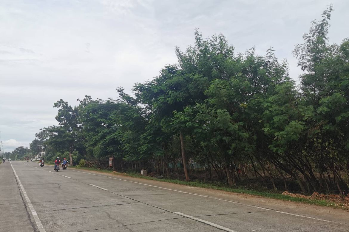 Land for Sale in Dao, Dauis, Bohol