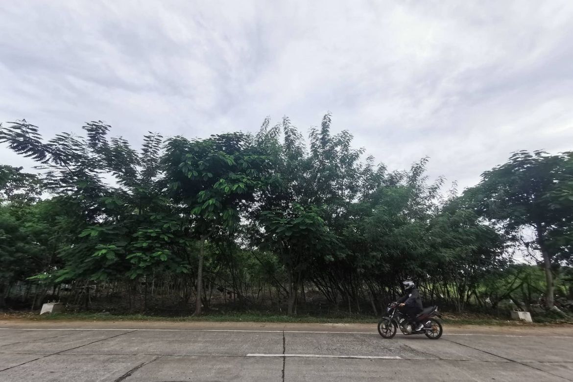 Land for Sale in Dao, Dauis, Bohol – photo 3