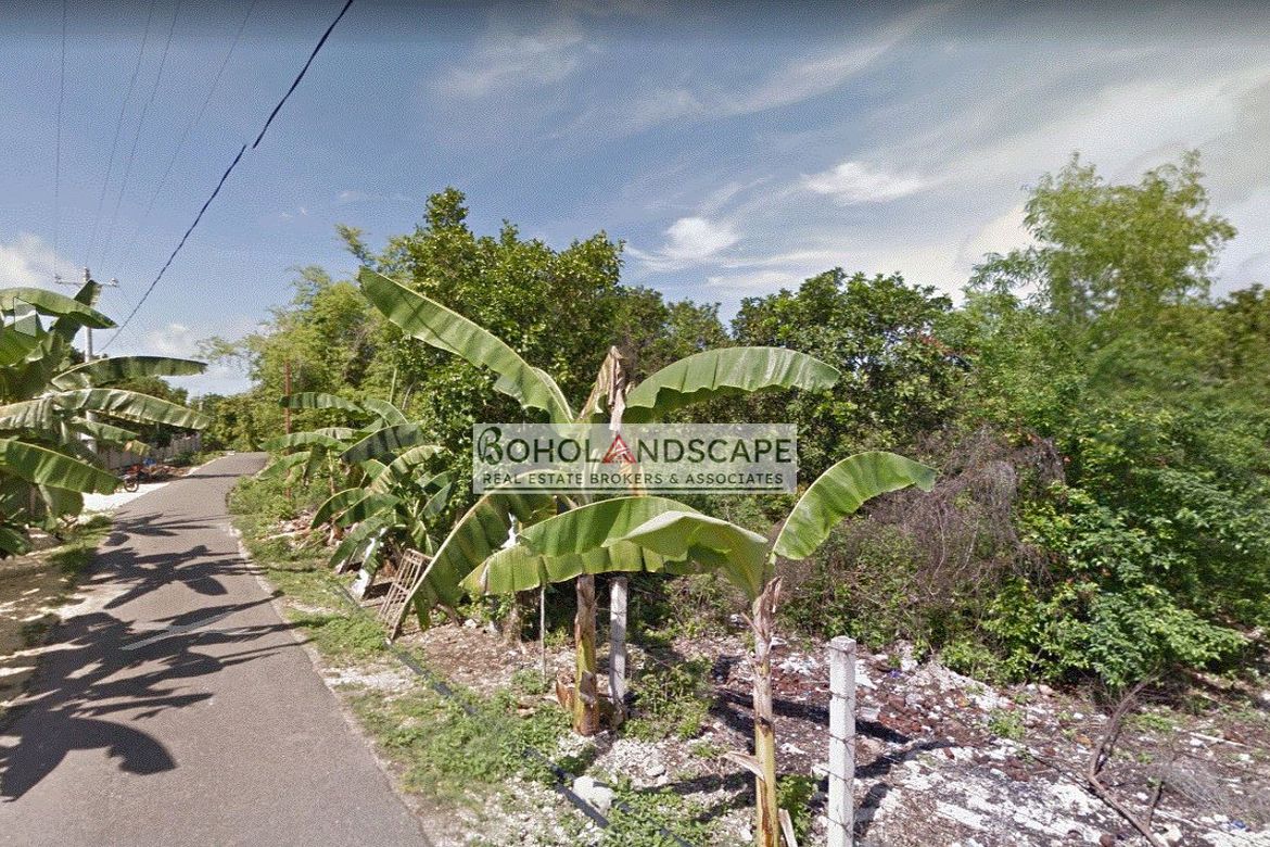 Land for Sale in Dao, Dauis, Bohol