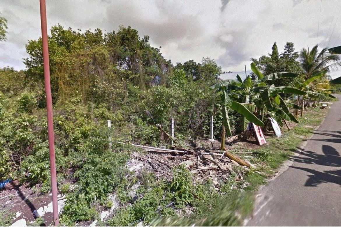 Land for Sale in Dao, Dauis, Bohol – photo 4