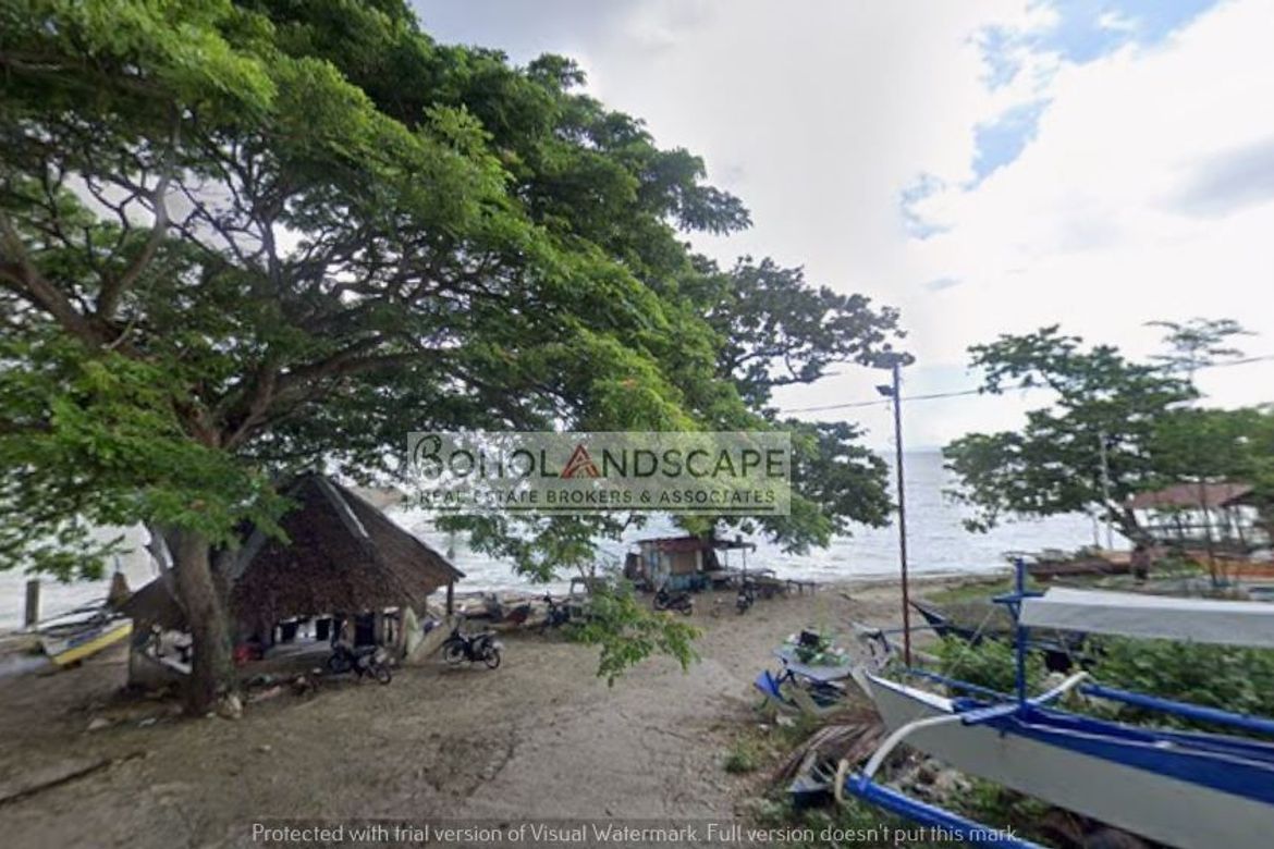Land for Sale in Dao, Dauis, Bohol – photo 2