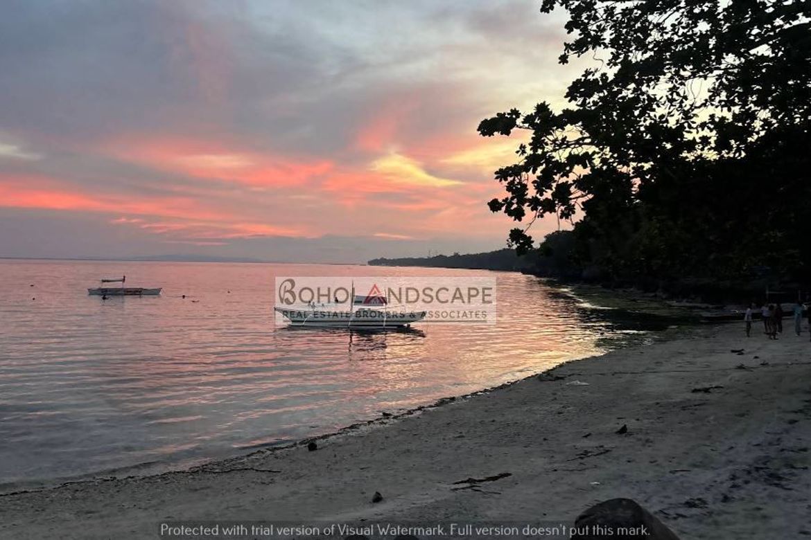 Land for Sale in Dao, Dauis, Bohol – photo 3