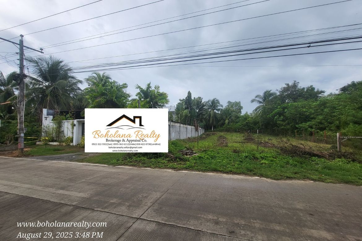 Land for Sale in Dao, Dauis, Bohol – photo 3