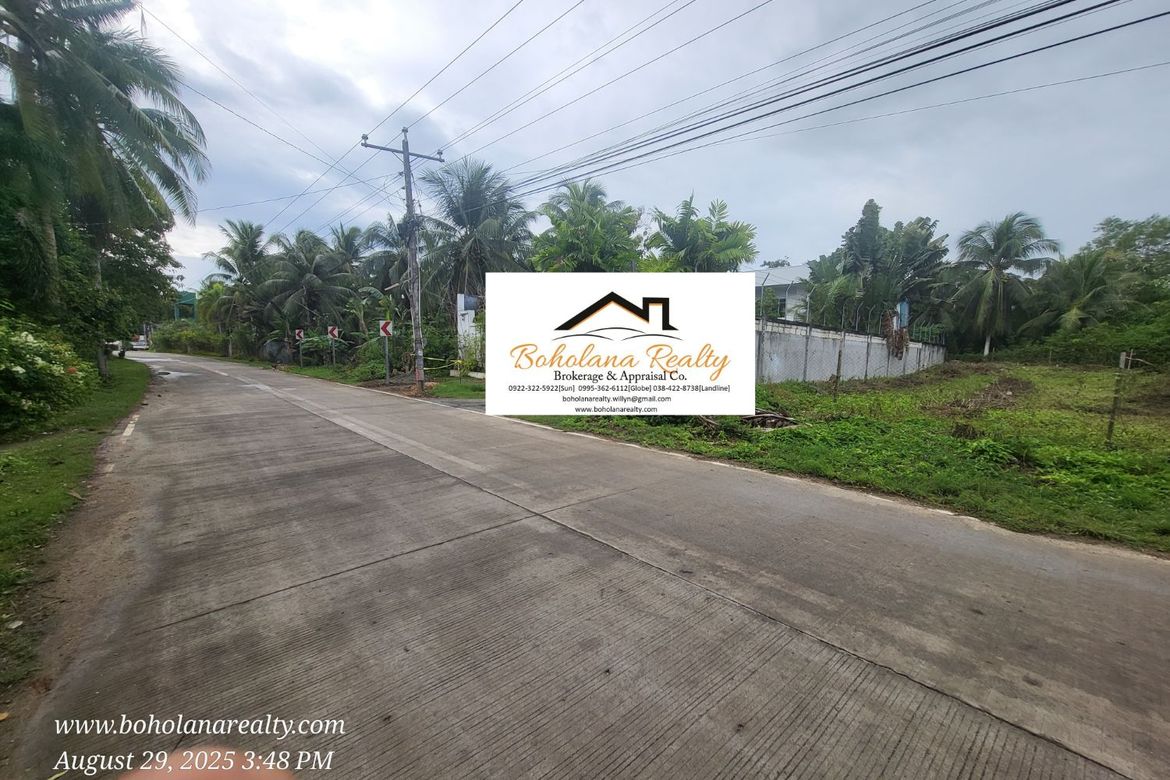 Land for Sale in Dao, Dauis, Bohol – photo 5