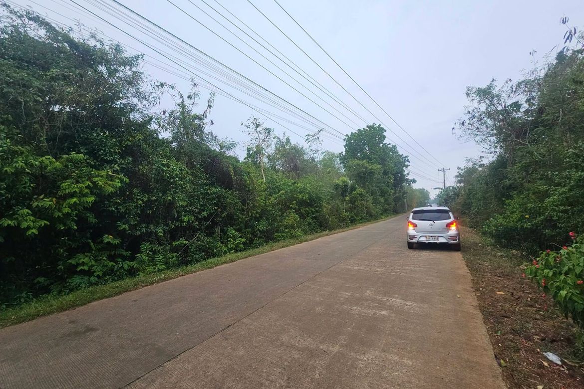 Land for Sale in Dao, Dauis, Bohol – photo 3