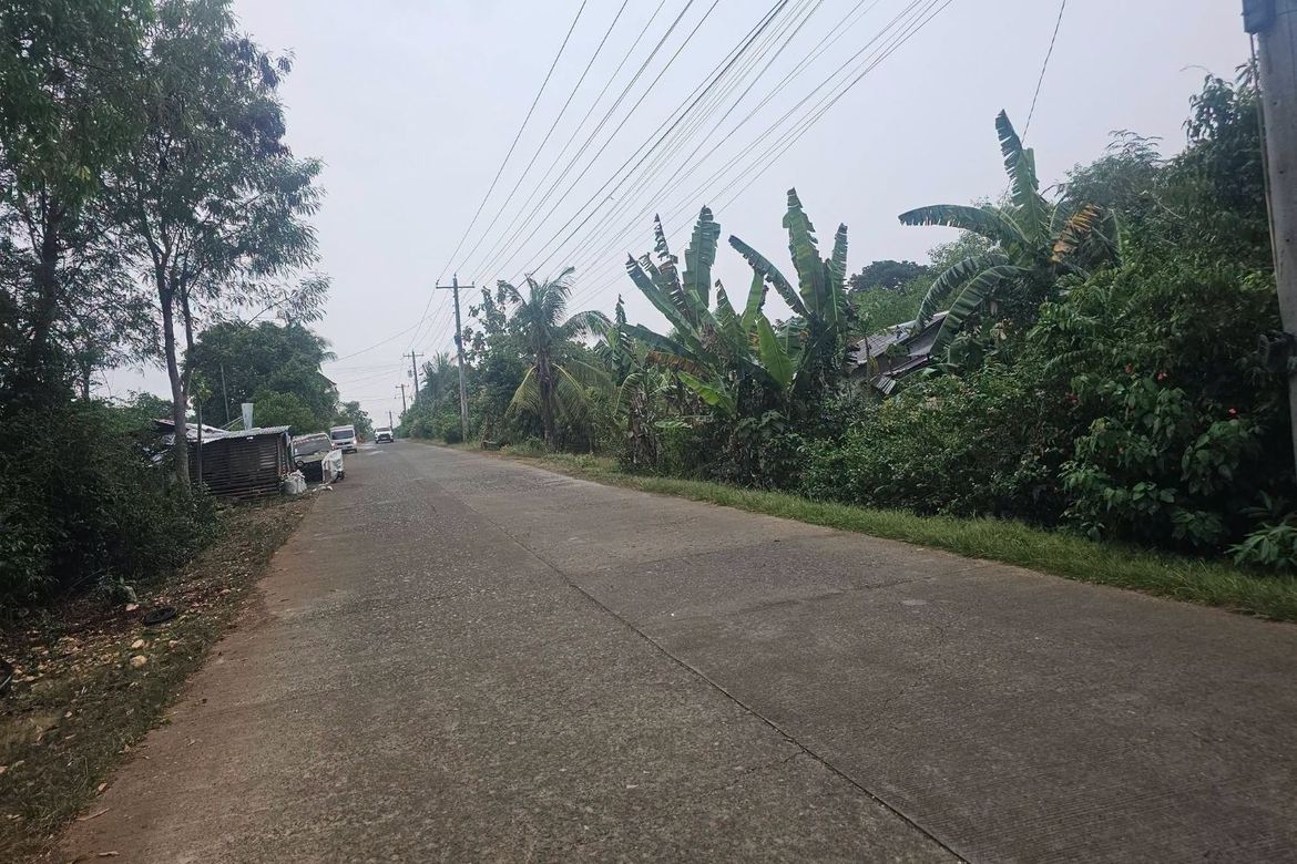 Land for Sale in Dao, Dauis, Bohol – photo 4