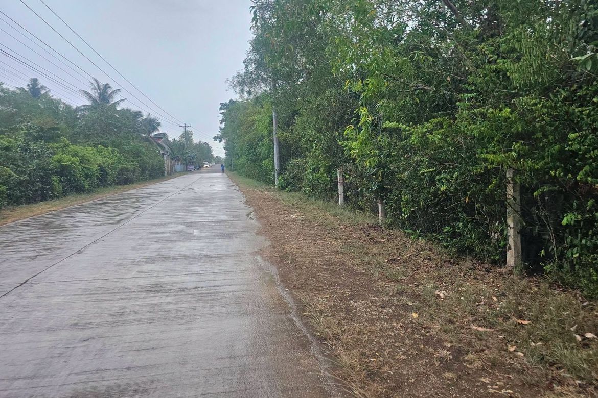 Land for Sale in Dao, Dauis, Bohol – photo 5